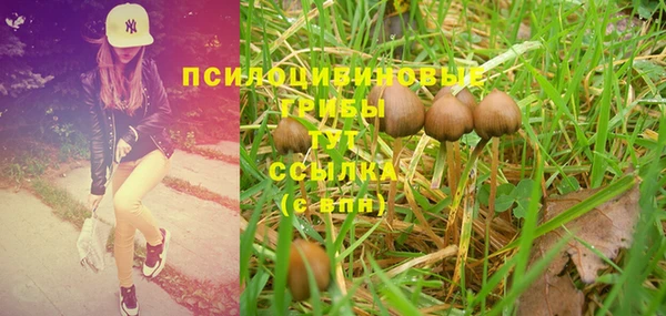 индика Пестово