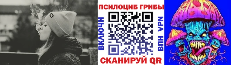цены наркотик  Советск  Галлюциногенные грибы мицелий 